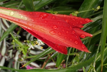 P1073904a.jpg